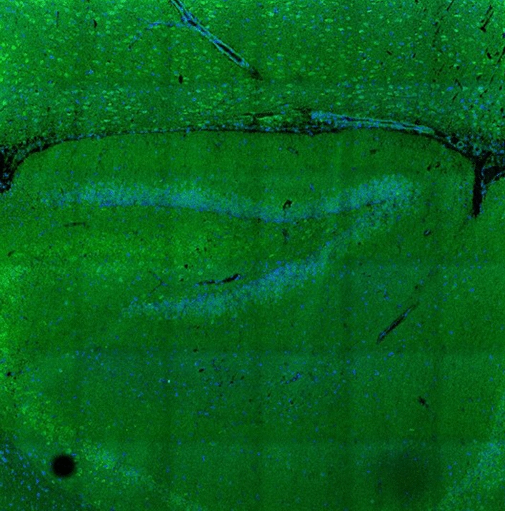 Abstract Image