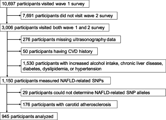 Impact of NAFLD-related SNPs on the carotid atherosclerosis development; a five-year prospective observational study