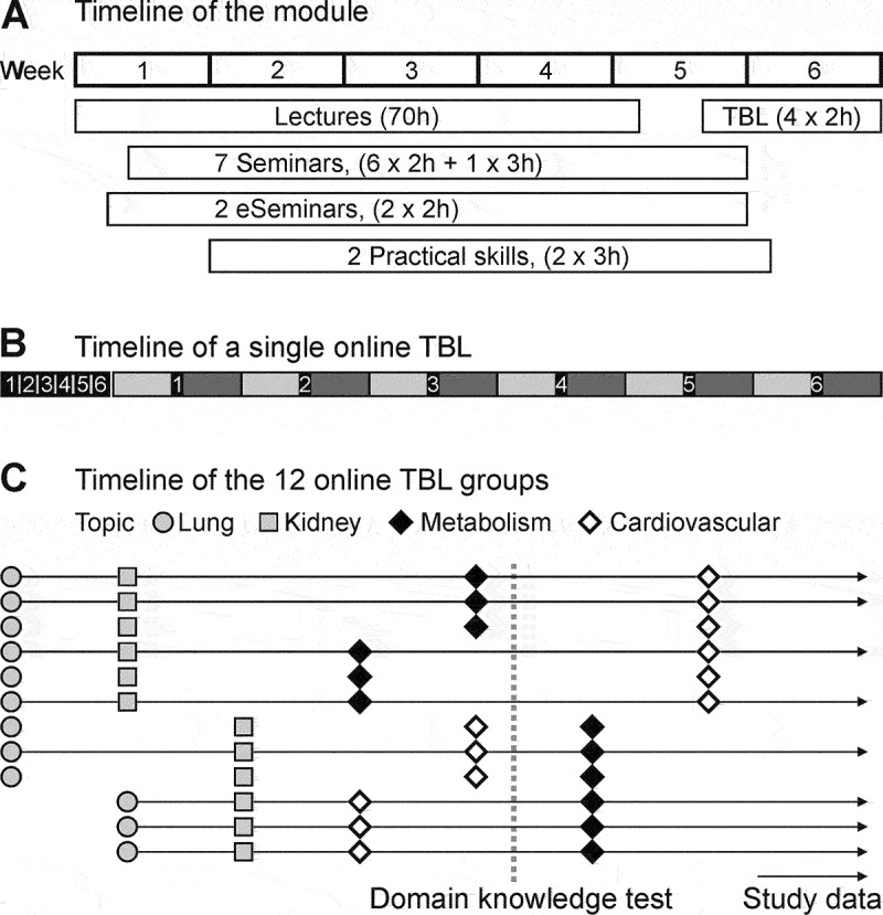 Short-term cognitive learning outcomes in team-based learning: is the permanent team important?