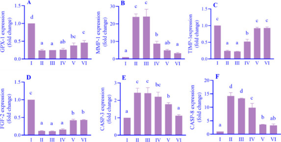 Antiaging properties of chlorogenic acid through protein and gene biomarkers in human skin fibroblast cells as photoaging model.