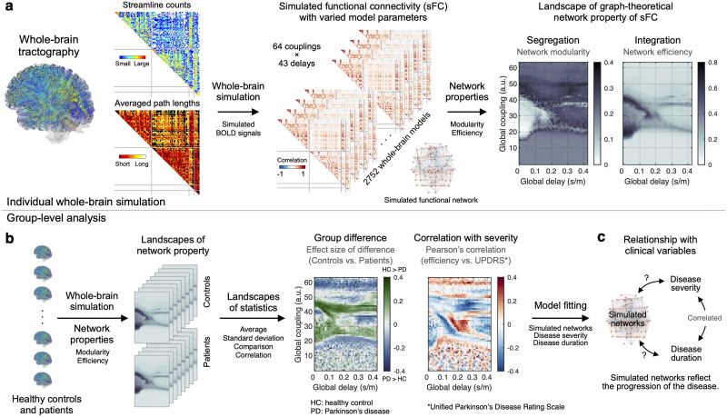 Simulated brain networks reflecting progression of Parkinson's disease.