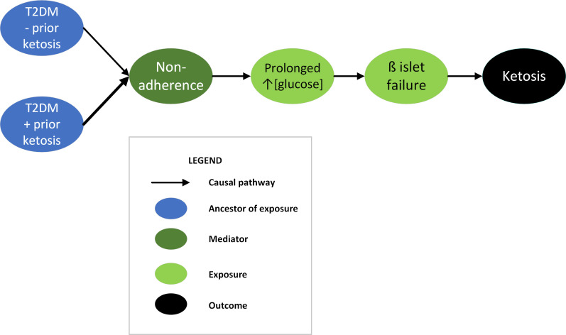 Retrospective derivation of a causal pathway for diabetic ketoacidosis in adult patients with type 2 diabetes mellitus.