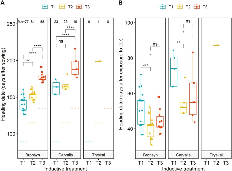 Experimental analysis of genetic and environmental interactions on leaf elongation and reproductive development in <i>Lolium perenne</i>.