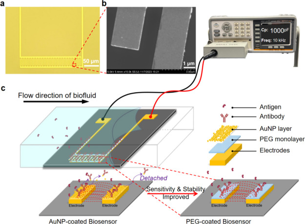Enhanced Stability and Sensitivity for CA-125 Detection Under Microfluidic Shear Flow Using Polyethylene Glycol-Coated Biosensor.
