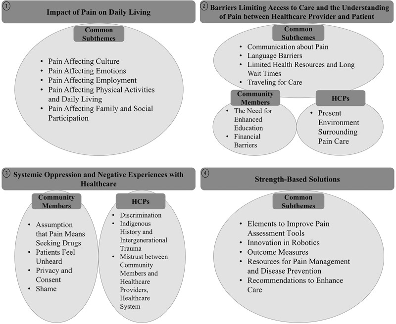 Understanding Needs for Chronic Musculoskeletal Pain Management in a Northern Dene and Métis Community: A Community Based Needs Assessment.