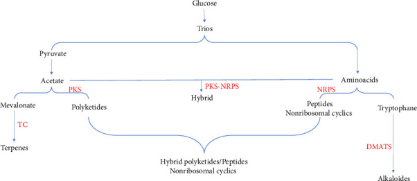 Anticancer Effect of Mycotoxins From <i>Penicillium aurantiogriseum</i>: Exploration of Natural Product Potential.