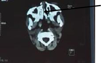 Abstract Image
