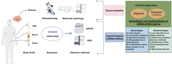 Application of Circulating Tumor DNA in the Auxiliary Diagnosis and Prognosis Prediction of Glioma.