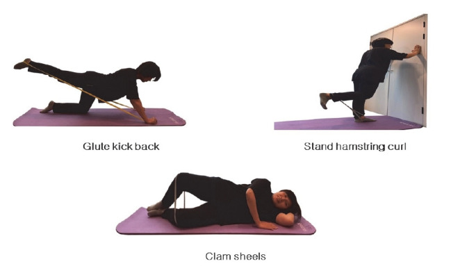 Effect of an 8-week lumbar stabilization and lower extremity strength exercise on lumbar pain and physical function in middle-aged women with chronic back pain.