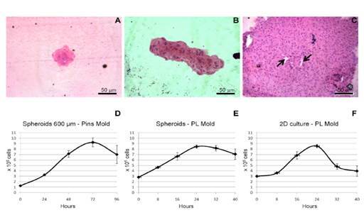 Repopulation of a 3D simulated periapical lesion cavity with dental pulp stem cell spheroids with triggered osteoblastic differentiation.