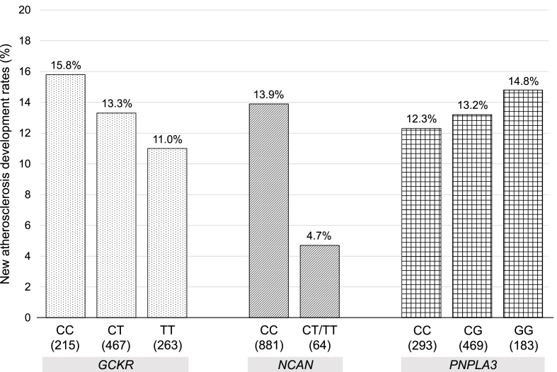 Impact of NAFLD-related SNPs on the carotid atherosclerosis development; a five-year prospective observational study