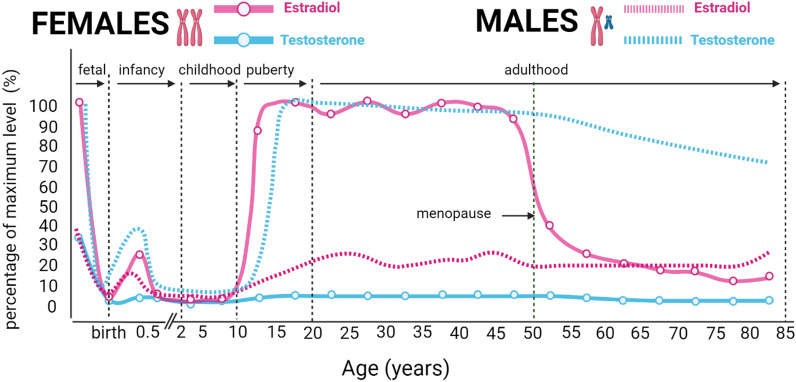 Embracing sex-specific differences in engineered kidney models for enhanced biological understanding of kidney function.