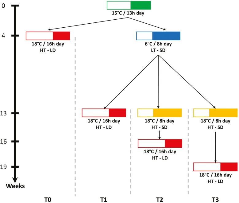 Experimental analysis of genetic and environmental interactions on leaf elongation and reproductive development in <i>Lolium perenne</i>.