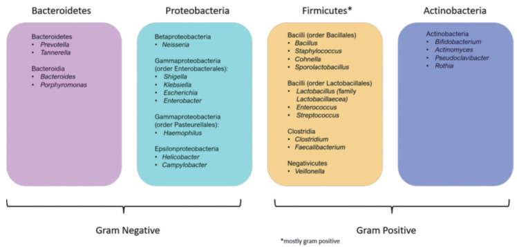 [The Relationship of Dysbiosis of Duodenal Microbiome and Functional Dyspepsia].