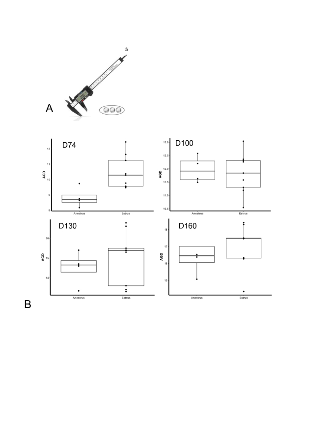 Changes in vaginal gene expression and anogenital distance during gilt reproductive development.