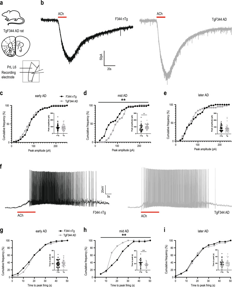 Enhanced prefrontal nicotinic signaling as evidence of active compensation in Alzheimer's disease models.