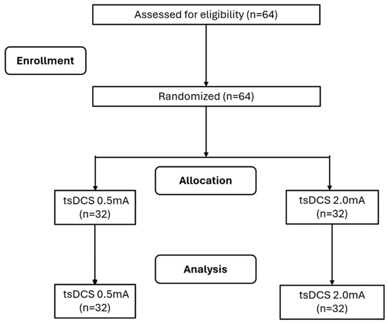 Immediate Effects of Distinct Intensities of Transcutaneous Spinal Direct Current Stimulation on Chronic Pain: A Randomized Controlled Trial.