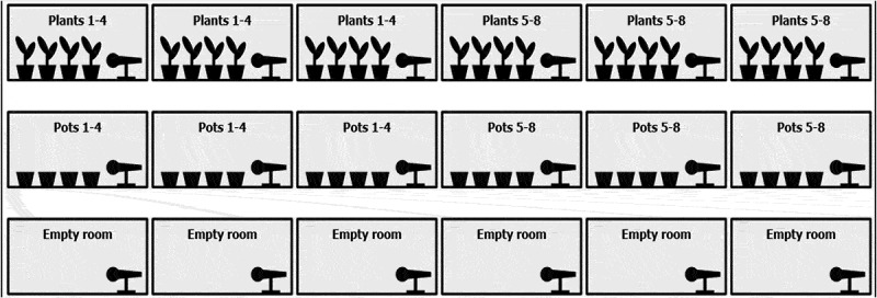 Plant ultrasound detection: a cost-effective method for identifying plant ultrasonic emissions.