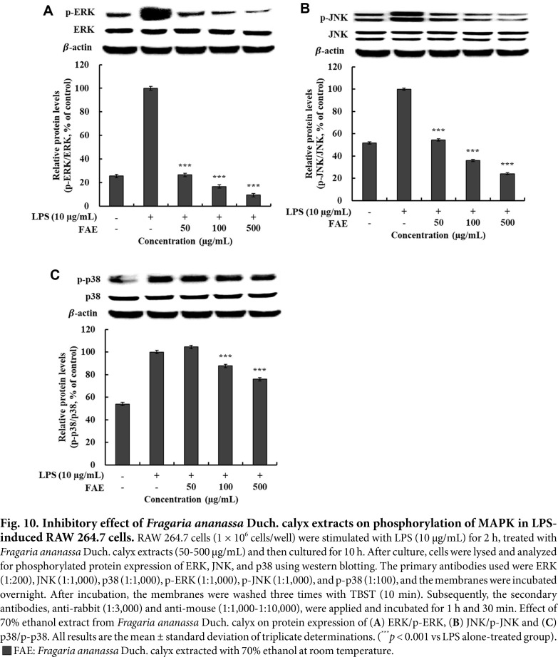 Anti-Inflammatory Effect of Extract from <i>Fragaria ananassa</i> Duch. Calyx via MAPK and NF-κB Signaling Pathway.
