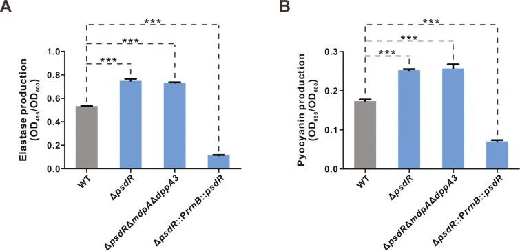 Co-regulation of cooperative and private traits by PsdR in <i>Pseudomonas aeruginosa</i>.