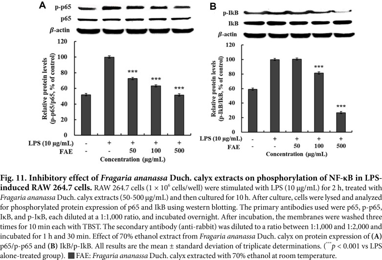 Anti-Inflammatory Effect of Extract from <i>Fragaria ananassa</i> Duch. Calyx via MAPK and NF-κB Signaling Pathway.