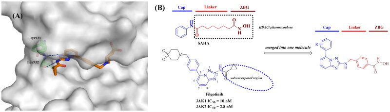 Design and synthesis of triazolopyridine derivatives as potent JAK/HDAC dual inhibitors with broad-spectrum antiproliferative activity.