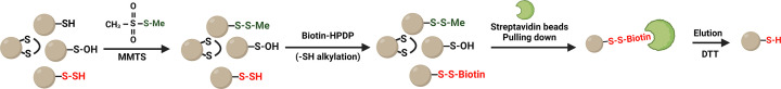 Quantification of persulfidation on specific proteins: are we nearly there yet?
