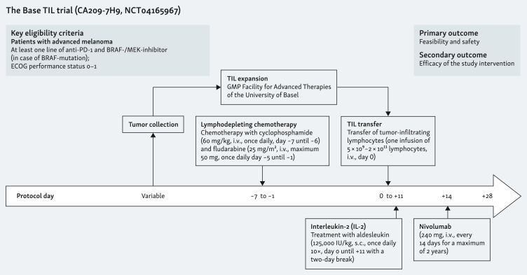 Adoptive cell therapy with tumor-infiltrating lymphocytes in combination with nivolumab in patients with advanced melanoma