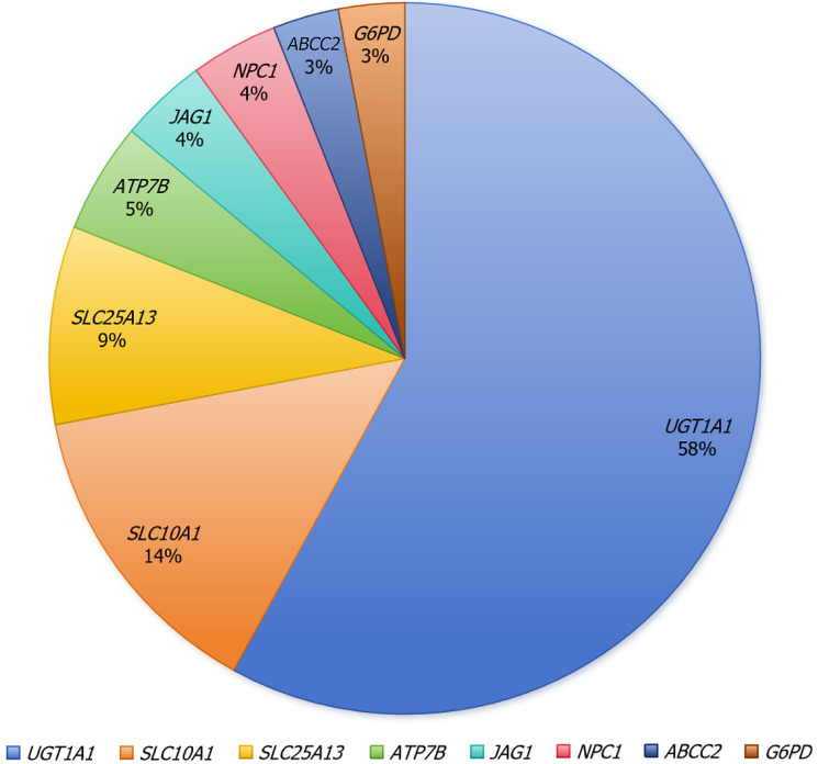 Genetic variation features of neonatal hyperbilirubinemia caused by inherited diseases.