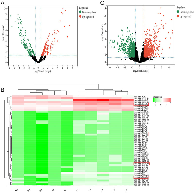 Screening and Studying of Blood miRNAs as Potential Diagnostic Markers for Papillary Thyroid Carcinoma.