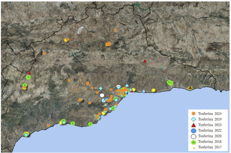 [Trends in the epidemiology of pertussis in Malaga, Spain (2017-2024)].