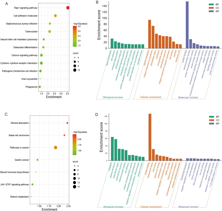 Screening and Studying of Blood miRNAs as Potential Diagnostic Markers for Papillary Thyroid Carcinoma.