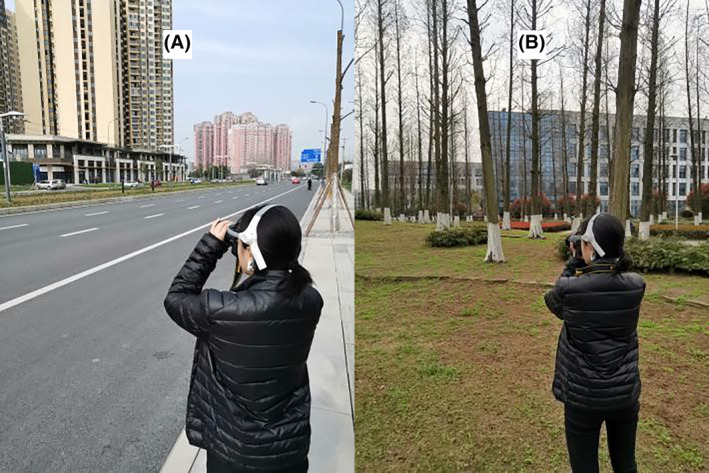 How taking pictures of landscapes affects the mental stress of young adults.