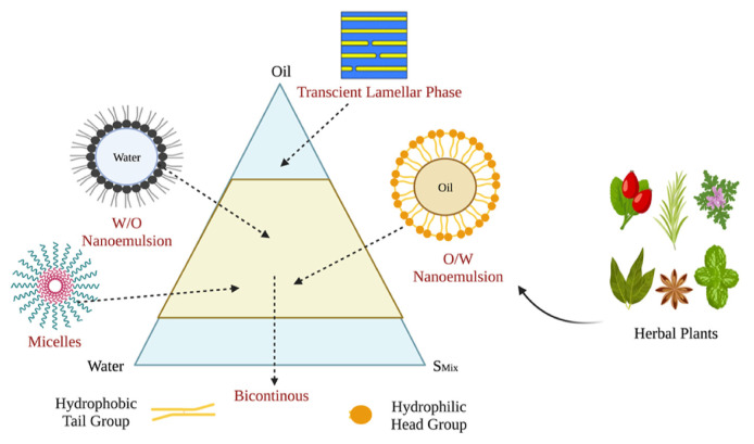 Herbal nanoemulsions in cosmetic science: A comprehensive review of design, preparation, formulation, and characterization.