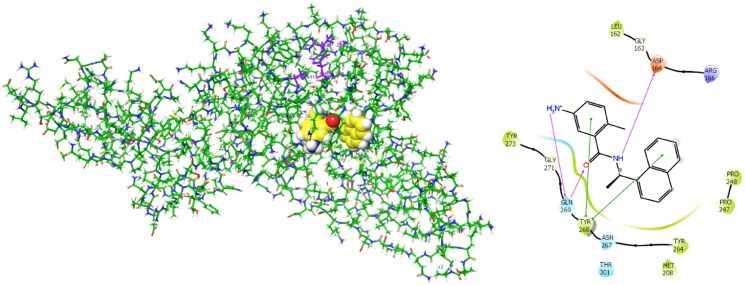 Identification and evaluation of antiviral activity of novel compounds targeting SARS-CoV-2 virus by enzymatic and antiviral assays, and computational analysis.