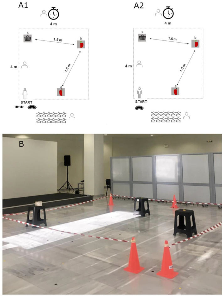 Development of Spatial Memory: A Behavioral Study.