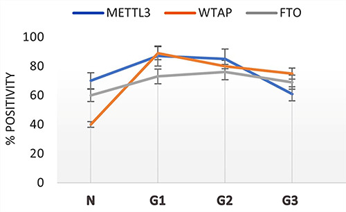 High WTAP expression level as a promising biomarker for poor prognosis in colorectal cancer: a pilot study.