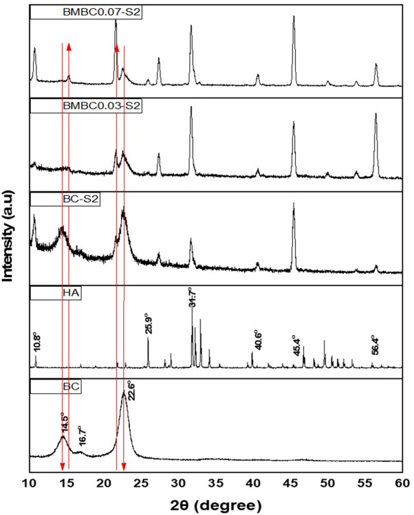 Citrate-modified bacterial cellulose as a potential scaffolding material for bone tissue regeneration.