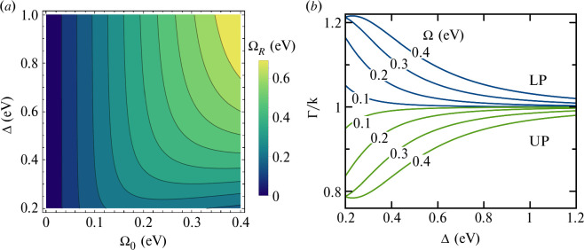 Multiple interacting photonic modes in strongly coupled organic microcavities.