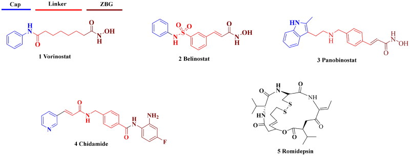 Design and synthesis of triazolopyridine derivatives as potent JAK/HDAC dual inhibitors with broad-spectrum antiproliferative activity.
