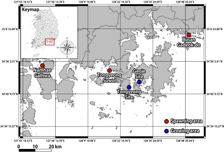 Effect of Different Regional Characteristics of Spawning and Growing Sites on Growth and Taste of Pacific Oyster, <i>Crassostrea gigas</i>.
