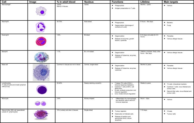 Introduction to immunology and immune disorders.