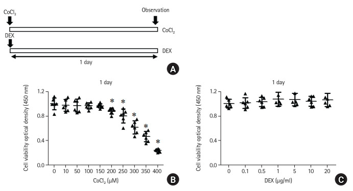 Dexmedetomidine alleviates CoCl2-induced hypoxic cellular damage in INS-1 cells by regulating autophagy.