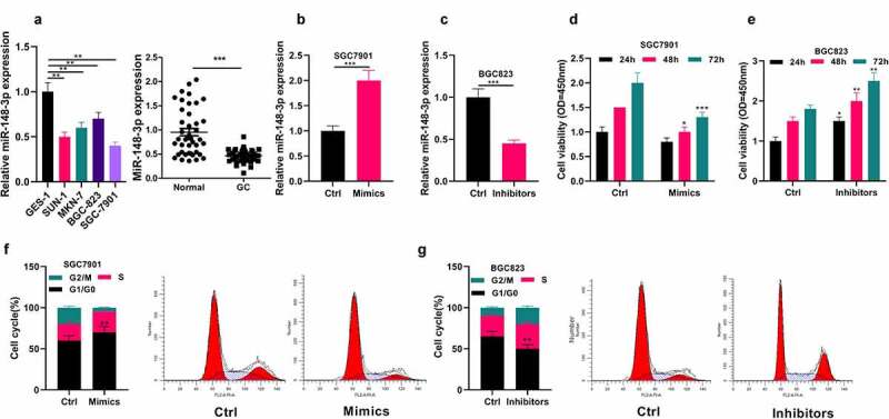 miR-148-3p inhibits gastric cancer cell malignant phenotypes and chemotherapy resistance by targeting Bcl2.