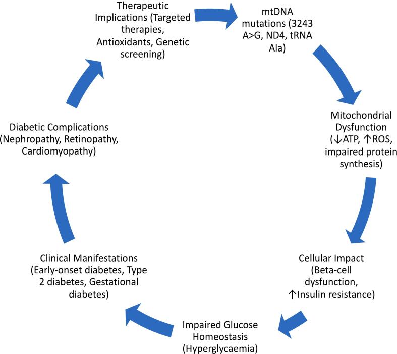 Mitochondrial DNA variants in the pathogenesis and metabolic alterations of diabetes mellitus