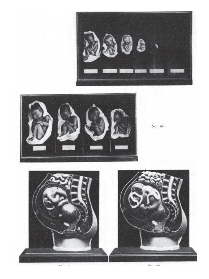 Modern Medical and Hygiene Exhibitions of the Japanese Colonial Period.