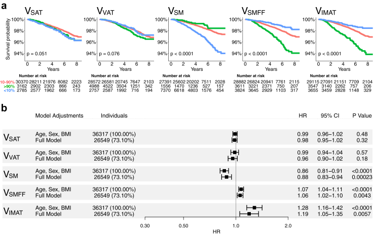 Deep learning-based body composition analysis from whole-body magnetic resonance imaging to predict all-cause mortality in a large western population.