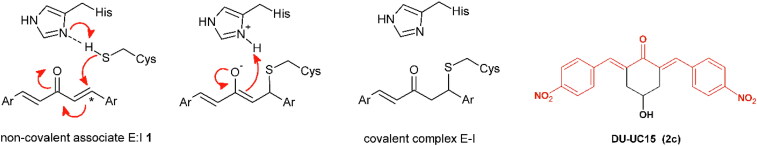 Identification and evaluation of antiviral activity of novel compounds targeting SARS-CoV-2 virus by enzymatic and antiviral assays, and computational analysis.