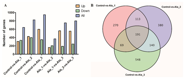 Alanine supplementation enhancing cordycepin production in Cordyceps militaris via upregulation of Cns2 and Cns3 genes expression levels.
