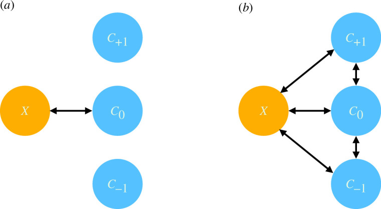Multiple interacting photonic modes in strongly coupled organic microcavities.